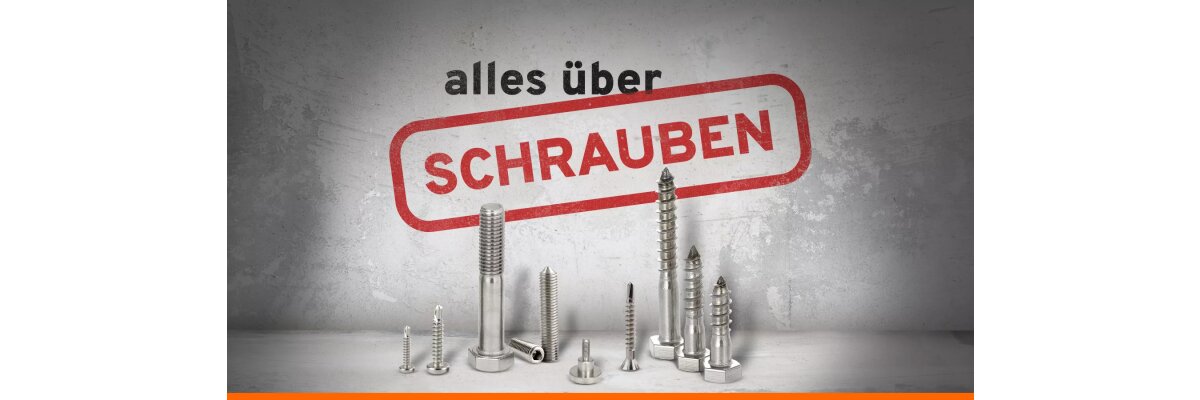 Alles, was Sie über Schrauben wissen müssen - 