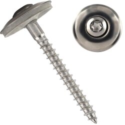 Spenglerschrauben TORX mit U-Scheibe (20mm) ähnl....