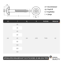 Spenglerschrauben TORX mit U-Scheibe (20mm) ähnl....