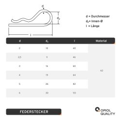 Federstecker 6mm Edelstahl A2