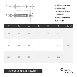 Augbolzen mit Kragen M6 Edelstahl A4