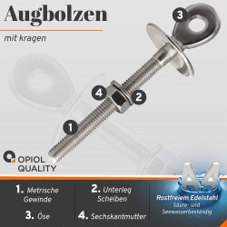 AUGBOLZEN MIT KRAGEN-M8-AISI316&nbsp; (8032)