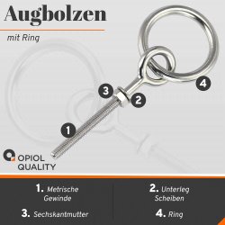 Augbolzen mit Ring M8 Edelstahl A2