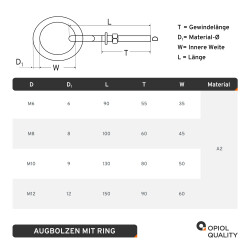 AUGBOLZEN MIT RING-M10-A2&nbsp; (8228)