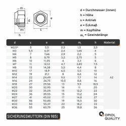 2 Stück Sechskantmuttern M8 niedr. Form, selbstsichernd, Polyamidklemmteil DIN 985 Edelstahl A2