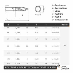 25 Stück Sechskant Holzschrauben M10x80 DIN 571 Edelstahl A2