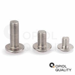 5 Stück Linsenkopfschrauben M8 X 10/10 mit Flansch ISO 7380, TORX, Vollgewinde, Edelstahl A2