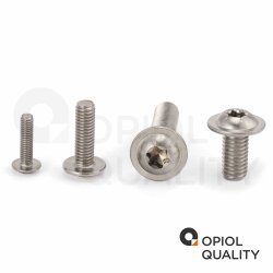 50 Stück Linsenkopfschrauben M6x30/30 mit Flansch ISO 7380, Innensechsrund (TX), Vollgewinde, Edelstahl A2