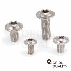 50 Stück Linsenkopfschrauben M6 X 50/50 mit Flansch ISO 7380, TORX, Vollgewinde, Edelstahl A2
