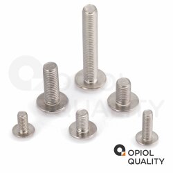 100 Stück Linsenkopfschrauben M6 X 16/16 mit Flansch ISO 7380, TORX, Vollgewinde, Edelstahl A2