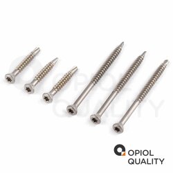 200 Stück Dielenschrauben 3,2 X 25/16 TORX TX-10 mit Linsenkopf, Edelstahl A2