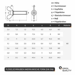 2 Stück Flügelschrauben M  6 X 16  DIN 316 Edelstahl A2, amerikanische Form