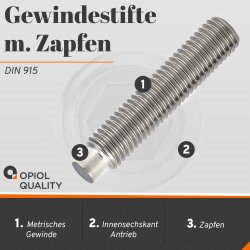 1 Stück Gewindestifte M8x20 mit Innensechskant u. Zapfen DIN 915 Edelstahl A2