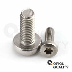 10 Stück Linsenschrauben M2 X 4 mit Innensechsrund "TX" - T6 DIN 7985 Edelstahl A2