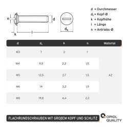 1 Stück Flachrundschrauben mit großem Kopf und Schlitz A2 M6x8