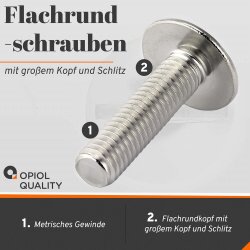 1 Stück Flachrundschrauben mit großem Kopf und Schlitz A2 M6x8