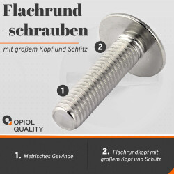 1 Stück Flachrundschrauben mit großem Kopf und Schlitz A2 M 8X12