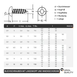 10 Stück Linsenkopf-Blechschrauben mit Innensechsrund ISO 14585 C 3,9X38 TX15 Edelstahl A2
