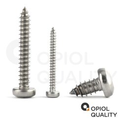 25 Stück Linsenkopf-Blechschrauben mit Innensechsrund ISO 14585 C 5,5X38 TX25 Edelstahl A2
