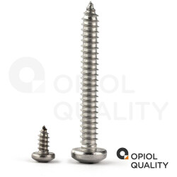 5 Stück Linsenkopf-Blechschrauben mit Kreuzschlitz 3,9x50 Edelstahl A2 (DIN 7981)