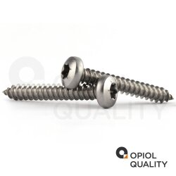 25 Stück Rundkopf-Spanplattenschrauben mit verstärktem Kopf 4,5X16 TX20 Edelstahl A2