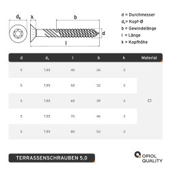 Terrassenschrauben TORX mit Schneidkerbe und Linsenkopf Edelstahl C1